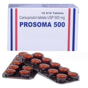 prosoma 500